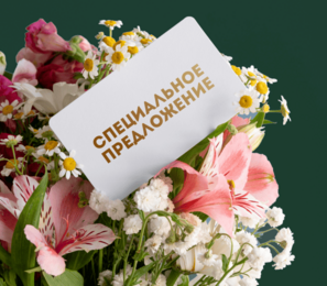 img Специальное предложение